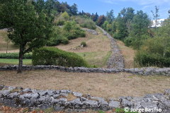 ad_pirum-8