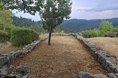 ad_pirum-9