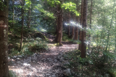alpes-14