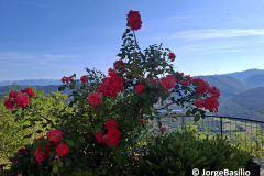 alpes-2