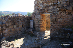 ammaia-13