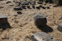 ammaia-2
