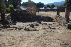 ammaia-3