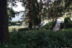 castello_miramare-26
