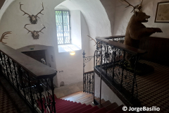 castello-nevoso-12