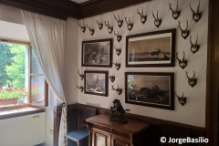 castello-nevoso-18