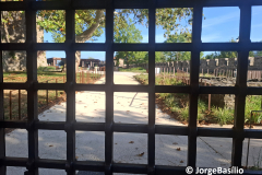 castelo_gorizia-5