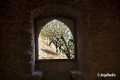 castelo_ourem-8