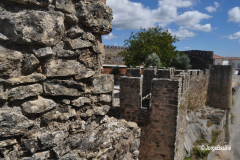 castelo_penela-15