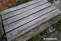 curiosidades-1