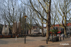 delft-23