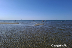 grado-4