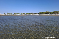 grado-6