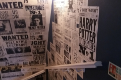harry_potter-9