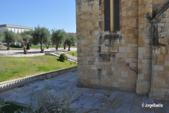 santa_maria_olival-1