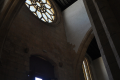 santa_maria_olival-5