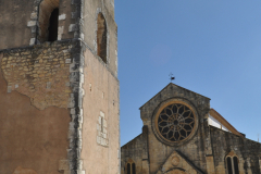 santa_maria_olival-8