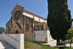 santa_maria_olival-9