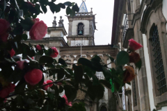 igreja_matriz_st_tirso-12