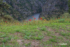 miranda_douro-29