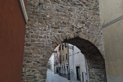 muggia-22
