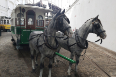 museu_carro_eletrico_1