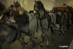 museu_coches-36