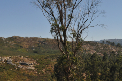 natureza-10