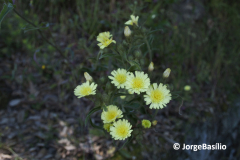 natureza-12