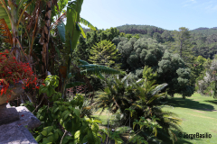 monserrate-16