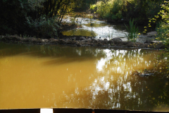 parque_marnel-10