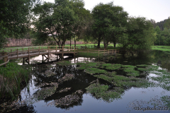 parque_marnel-7