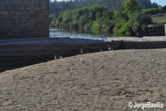 ponte_d_zameiro-5