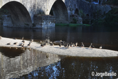 ponte_d_zameiro-6