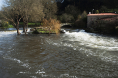 ponte_romanica_este-1