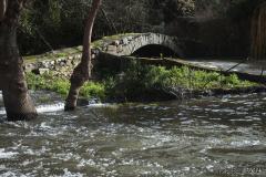 ponte_romanica_este-11