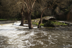 ponte_romanica_este-12