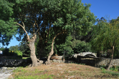 ponte_romanica_este-5