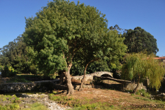 ponte_romanica_este-8