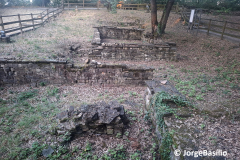 ruinas_muggia-8