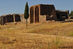 s_cucufate_1