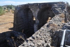 s_cucufate_25