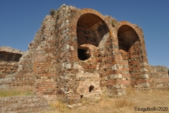 s_cucufate_8