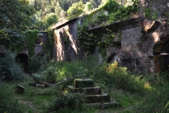 s_francisco_monte-3