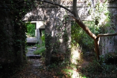 s_francisco_monte-8