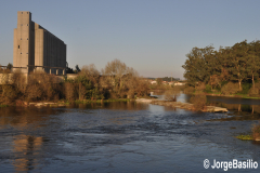 silos_prazol-3